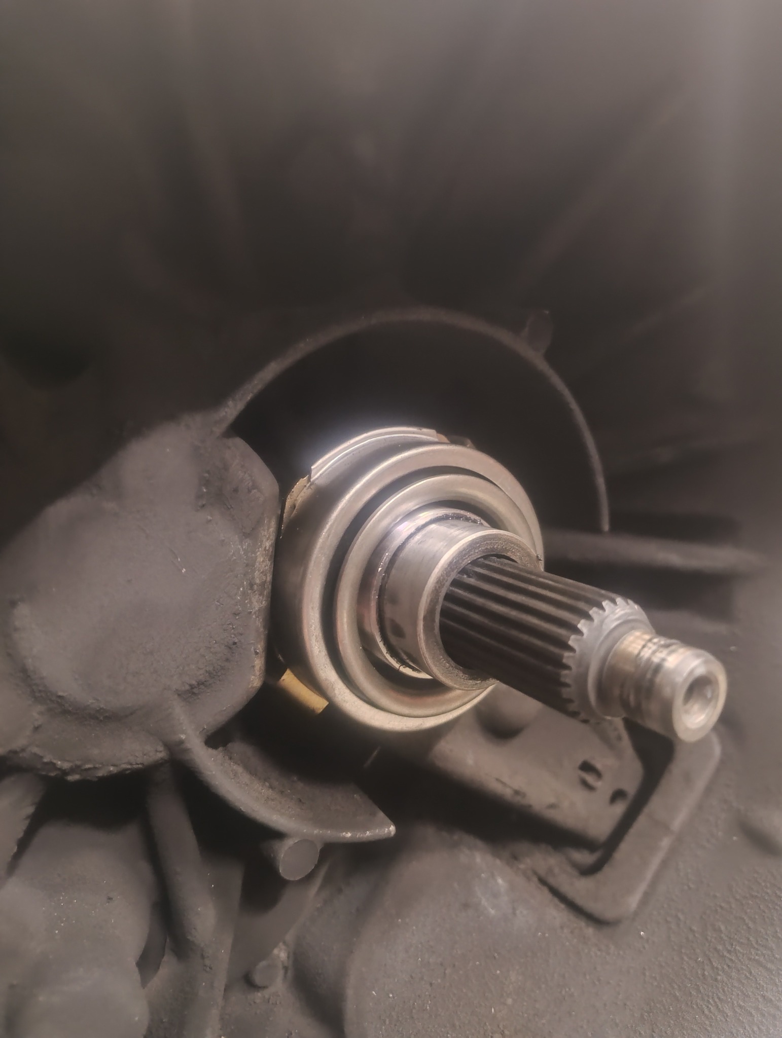 596803614_122190932102552200_8093580254719628337_n