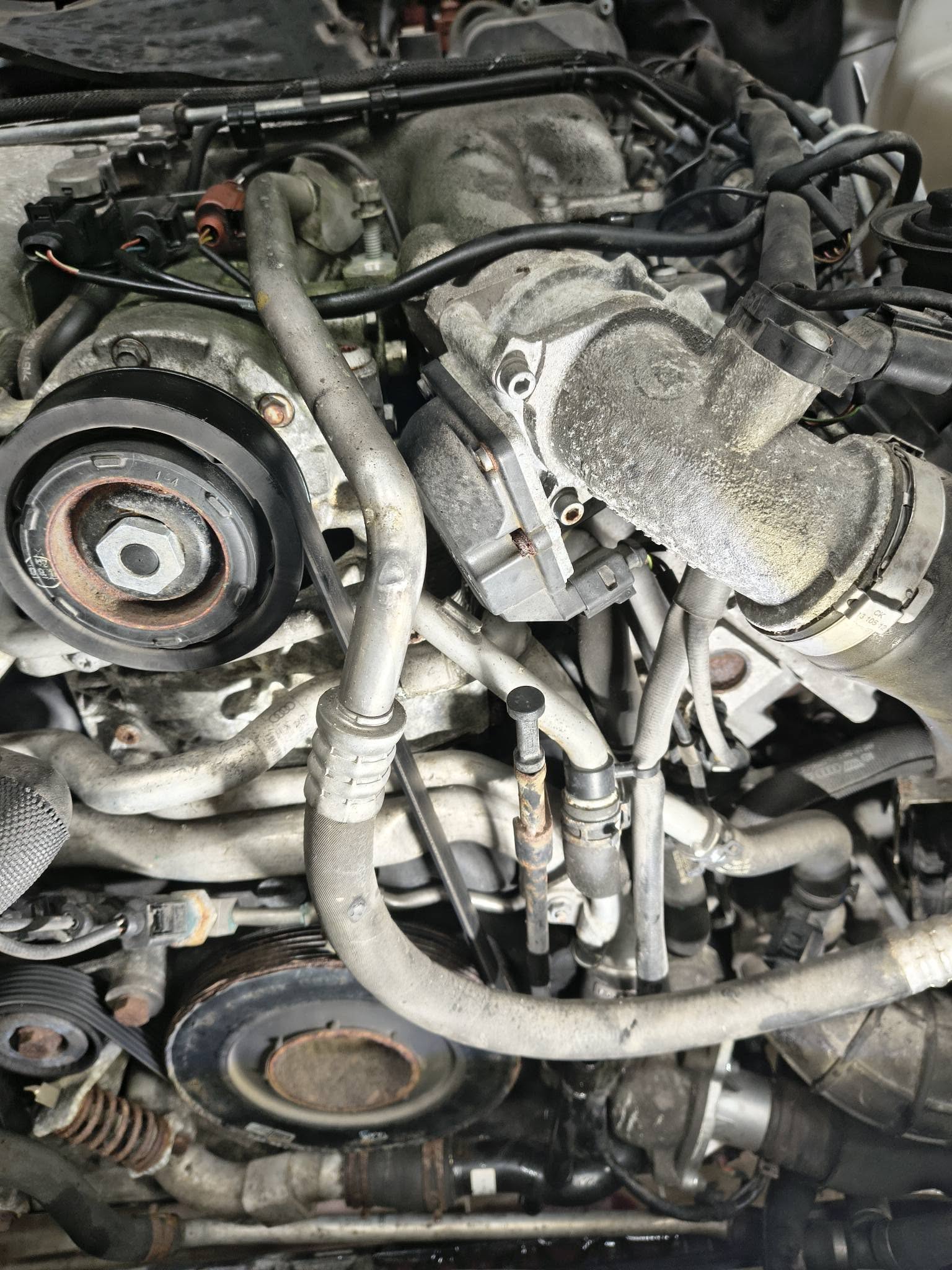 615449214_122195572664552200_4948750139717886969_n