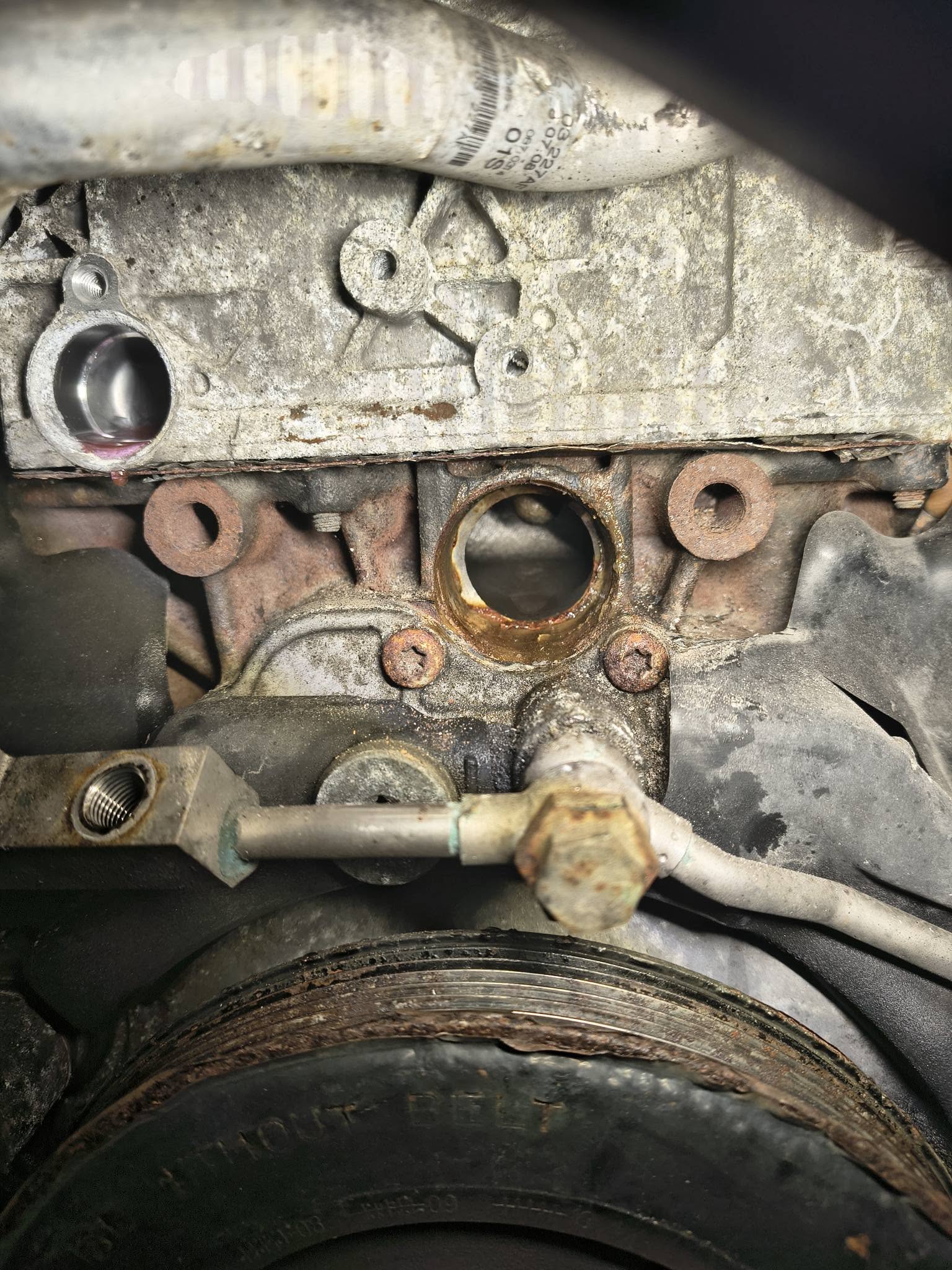 615769124_122195572706552200_5866913738993813406_n