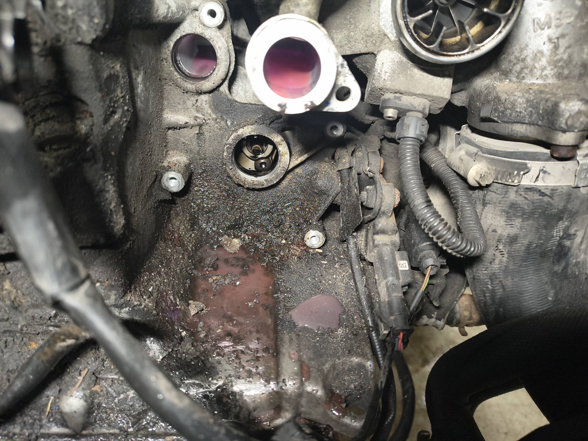 618126357_122195572754552200_30724387430011657_n