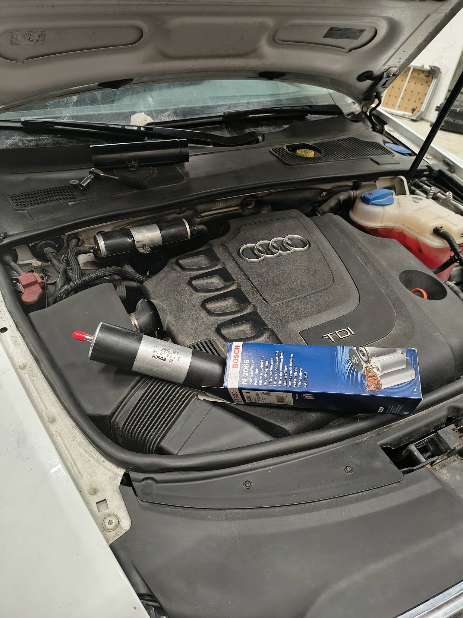 643747168_122201205734552200_7476614159336474151_n