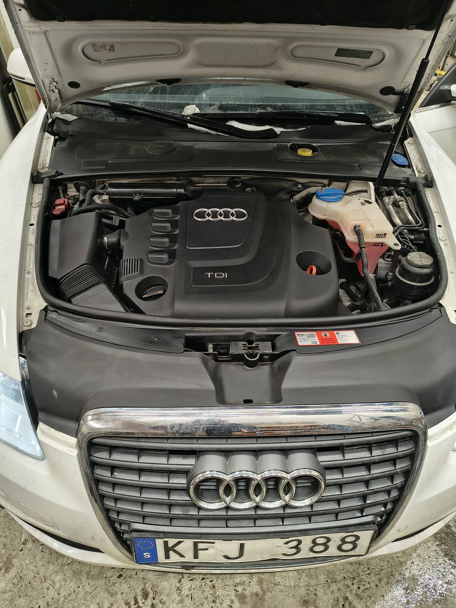 645424754_122201205686552200_3724374568163981858_n